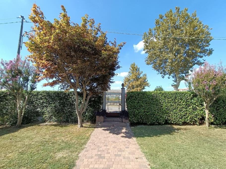 Lendinara B&B We Care Appartamento מראה חיצוני תמונה